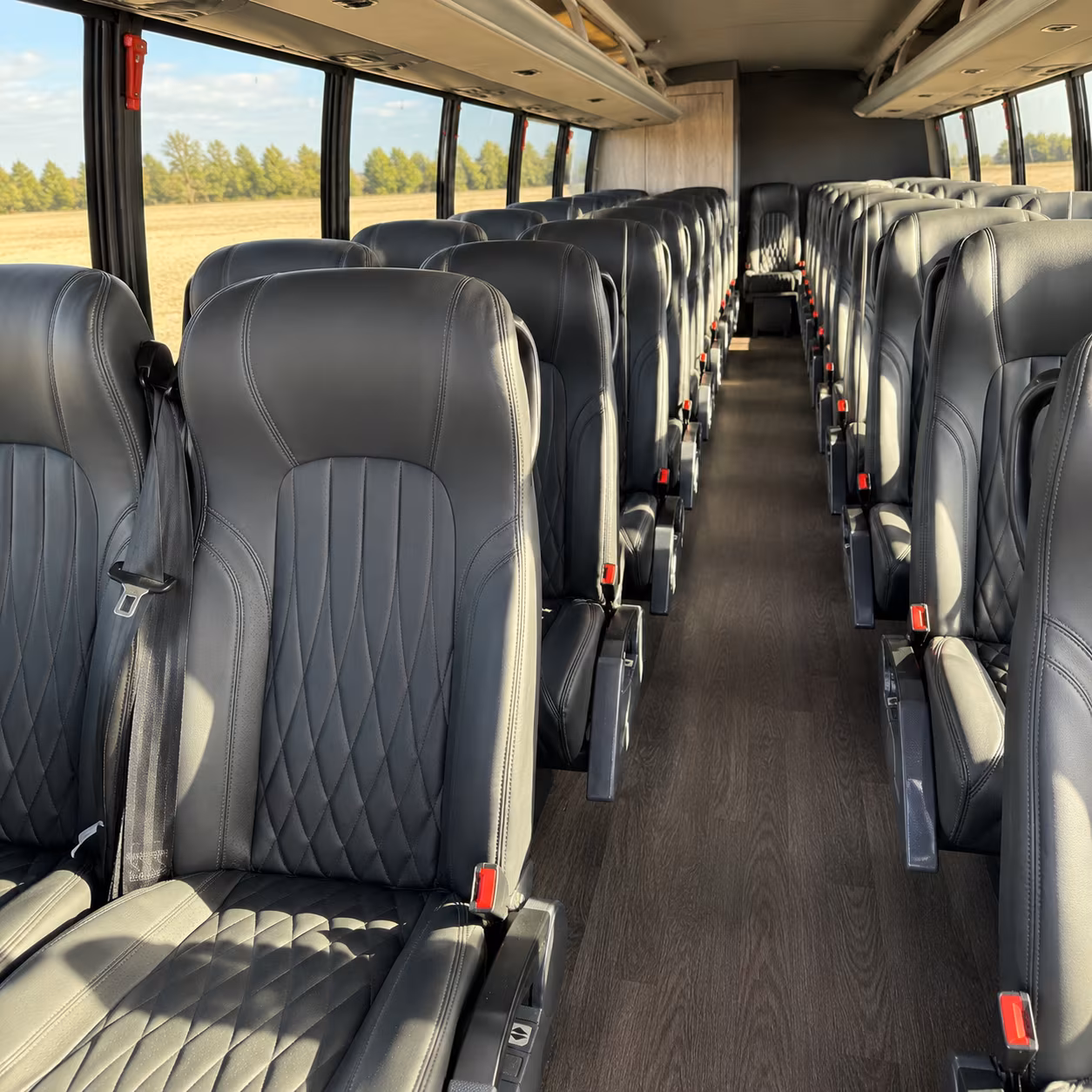 minibuses and charter buses to music farm td arena and charleston s live music clubs